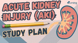 Acute Kidney Injury AKI Study Plan for Nursing Students [upl. by Eniawtna970]