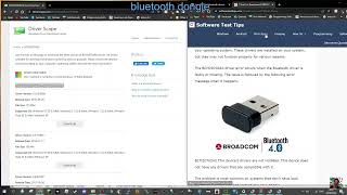 BUDGET BLUETOOTH DEVICE DRIVER BCM20702A0 Drivers Download [upl. by Silma]