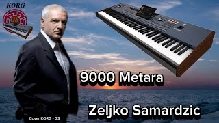 9000 metara  Cover   Zeljko Samardzic cover tutorial zeljkosamardzic muzika balkanmusic [upl. by Aeret409]