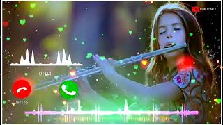 Hay re meri Moto flute song [upl. by Paget]