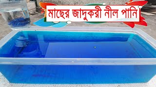 মাছের নিরাপদ ও কার্যকরী মেডিসিনমিথিলিন blue। Methylene blue for fish [upl. by Yemane]