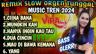 REMIX SLOW ORGEN TUNGGAL MUSIC TREND 2024 PAS UNTUK TEMAN SANTUY BASS GLEER [upl. by Acisey171]