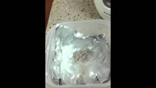 How to Remove Tarnish from Sterling Silver Clean Silver with Baking Soda [upl. by Notyarb]