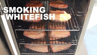 How to Smoke Whitefish [upl. by Ydur791]