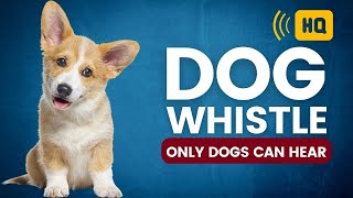 Dog Whistle 🐕 High Pitch Sound 🐕 Dog Whistle That Only Dogs Can Hear [upl. by Hines]