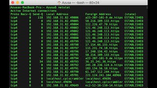 Check All the Active Connections with NETSTAT [upl. by Saleme]