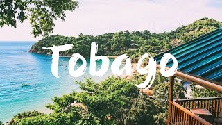 TOBAGO  TOP 10 THINGS to See amp Do  Travel Guide [upl. by Cran]