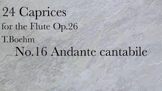 TBöhm24 Caprices For FLUTE No16 Andante cantabile [upl. by Birchard172]