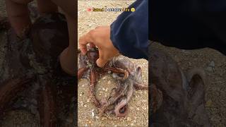 🐙Rescue mission Successfully saved 4 octopus friends 🥺 [upl. by Nahsrad]