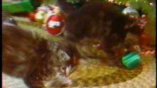 Bangor Savings Bank quotChristmas Kittensquot [upl. by Shirberg611]