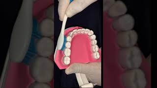 How to Brush your Teeth with Manual Toothbrush  Tooth Brushing Technique  2023 [upl. by Kalil]