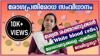 Immune system Explained in Malayalam  How do white blood cells fight pathogens [upl. by Laundes]