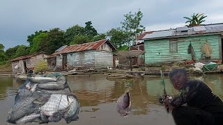 Mancing Ikan Kaloi Gurame amp Ikan Tengadak Sungai Kapuas umpan Jangkrik ‼️ Lanting Kelotok Eps 3 [upl. by Gallagher606]