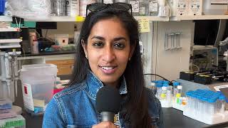 Padmini Pillai on Immunogenic Death for Cancer Cells [upl. by Darwen]