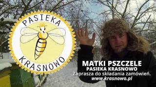 Pasieka Krasnowo  STYCZEŃ 2017 [upl. by Festa]