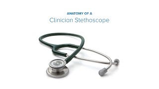 Anatomy of a Clinician Stethoscope [upl. by Genie488]