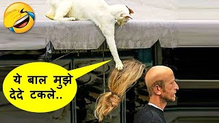 हे भगवान बड़े खतरनाक जानवर है ये तो  Animals Being Jerk Caught On Camera Part 144 [upl. by Iilek]