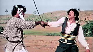 Naresh Kandia Best Sword Fight  નરેશ કનોડિયા  Best Gujarati Movie Action Scene  Hiral Hameer [upl. by Hyland]