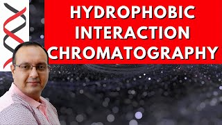 Hydrophobic Interaction Chromatography [upl. by Ailam]