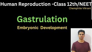 Gastrulation  Human Reproduction chemphilevikrant [upl. by Ripleigh]