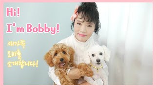 새가족이 생겼어요 코카푸 보비를 소개합니다 Introduce My New Dog New Family Cockapoo Bobby 믹스견 입양기 강아지 새식구 맞이하기 [upl. by Sausa]