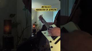 This guitar is insane Harley Benton EX84 EMG Harvester of Sorrow  Metallica [upl. by Tawney534]