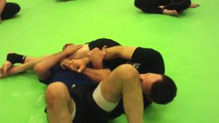 Head scissors choke for BJJ Carlson Gracie choke [upl. by Amak]