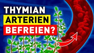 Iss Thymian um deine Arterien zu reinigen und dein HerzKreislaufSystem zu stärken [upl. by Akinor]