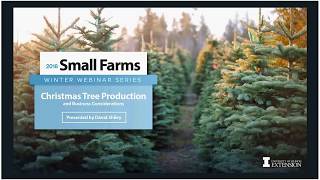 How to Start Your Own Christmas Tree Farm [upl. by Katt32]