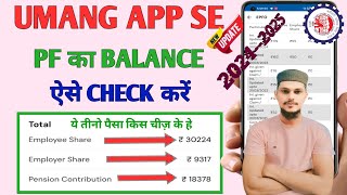 How to Check Your PF Balance Using UMANG App  How To Check Pf Balance Online  EPFO [upl. by Tyrus]