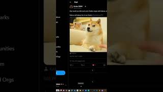 Elon Musk Likes Kabosu New Meme Coin On Solana solanamemecoin solana elonmusk dogecoin shiba [upl. by Dahl63]