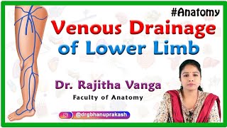 Venous Drainage of Lower Limb  Gross anatomy [upl. by Aslehc434]