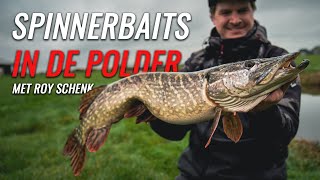 Poldersnoeken met spinnerbaits  Roy Schenk  Roofvissen [upl. by Zahavi]