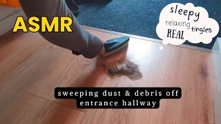 Relaxing real sweeping dust amp debris off entrance hallway ASMR sweeping [upl. by Anilra]