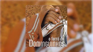 Dominguinhos  quotDe Volta pro AconchegoGostoso DemaisTenho Sede O Forró do Dominguinhos2003 [upl. by Aicirtak]