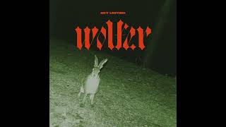 Wolfer  Take A Walk Official Audio [upl. by Veno]