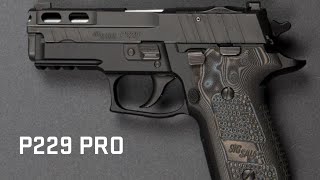 P229PRO [upl. by Dnomzed]