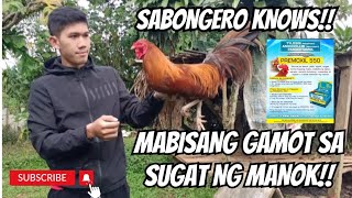 SABONGERO KNOWS MABISANG GAMOT SA SUGAT NG MANOK  GAMEFOWL BREEDERS  GAMEFOWLS [upl. by Jasmine700]