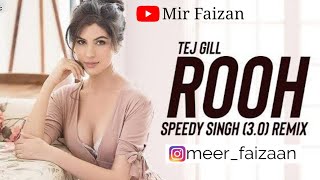 Rooh 30 Remix  Tej Gill  Speedy Singh  Punjabi Songs  Tere Bina Jeena Saza Hogaya ve Saanu [upl. by Cott]