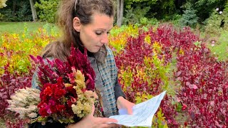 Ageratum Amaranth Aster Love in a Puff amp Celosia Review 2023 [upl. by Carr]