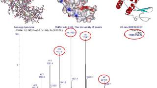 Mass spectrometry for proteomics  part one [upl. by Akimehs187]