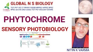 PHYTOCHROME  part 1  Sensory photobiology [upl. by Fionna]