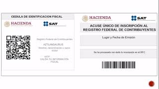 Como tramitar tu RFC CSF y EFIRMA si eres adulto mayor o Persona con Discapacidad [upl. by Indira44]