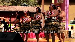 Maori dance of New Zealand [upl. by Bohun]