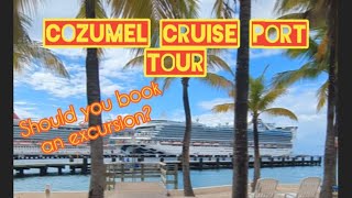 Cozumel Cruise Port Tour [upl. by Strade333]