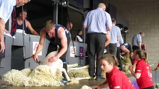 Royal Highland Show 2019 Sheep Shearing Scottish National [upl. by Odranoel]