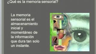 Memoria sensorial [upl. by Dominick]