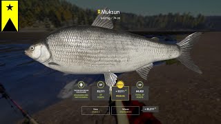 RUSSIAN FISHING 4  RF4  MUKSUN TROPHY [upl. by Eittah]