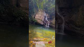 Let’s take it to the waterfall castara tobago [upl. by Aihc]