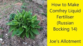 How to Make Comfrey Liquid Fertiliser Russian Bocking 14 [upl. by Aleron]